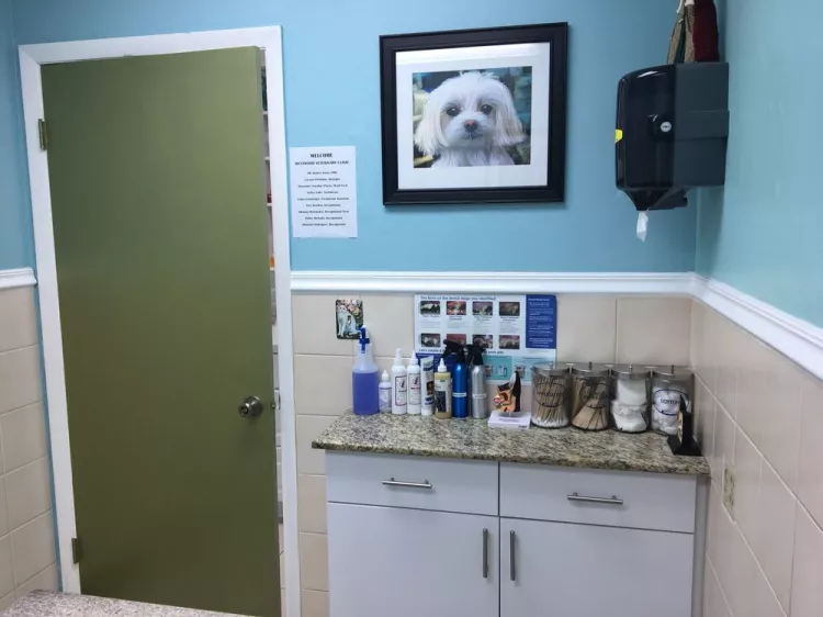 Westwood Veterinary Clinic, Florida, Miami